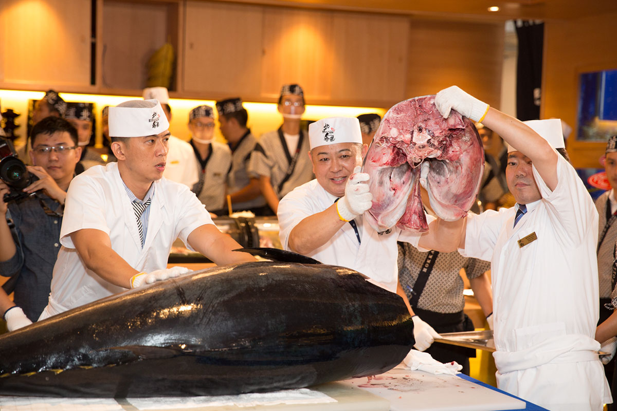 Hương Giang, Jun Vũ, Vũ Cát Tường, Gil Lê háo hức khi thưởng thức món cá ngừ nặng hơn 100 kg